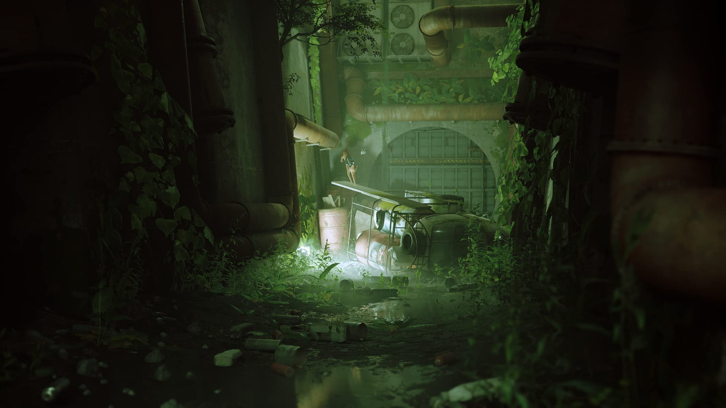 Stray PS5 - GameRaid