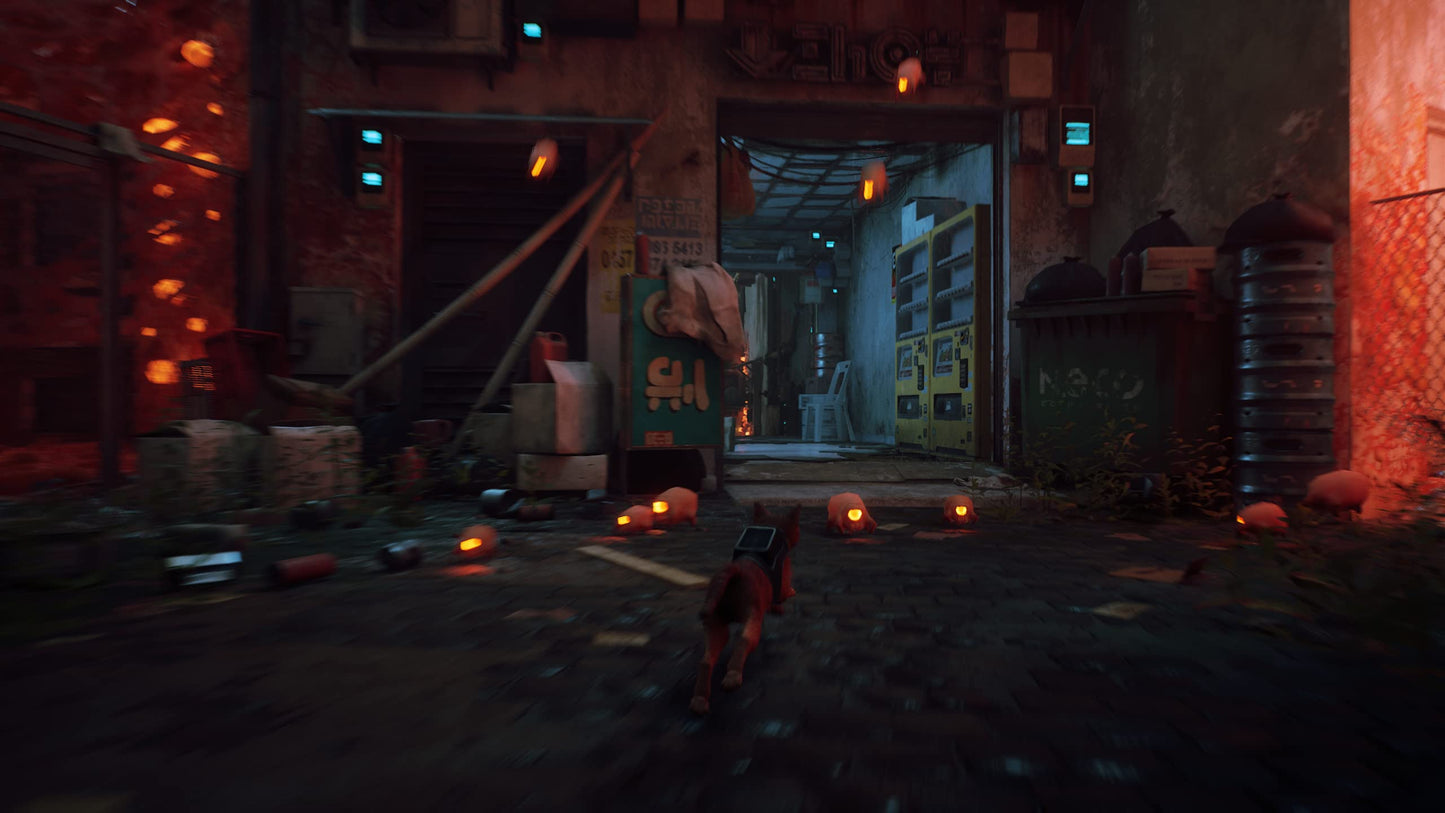 Stray PS5 - GameRaid
