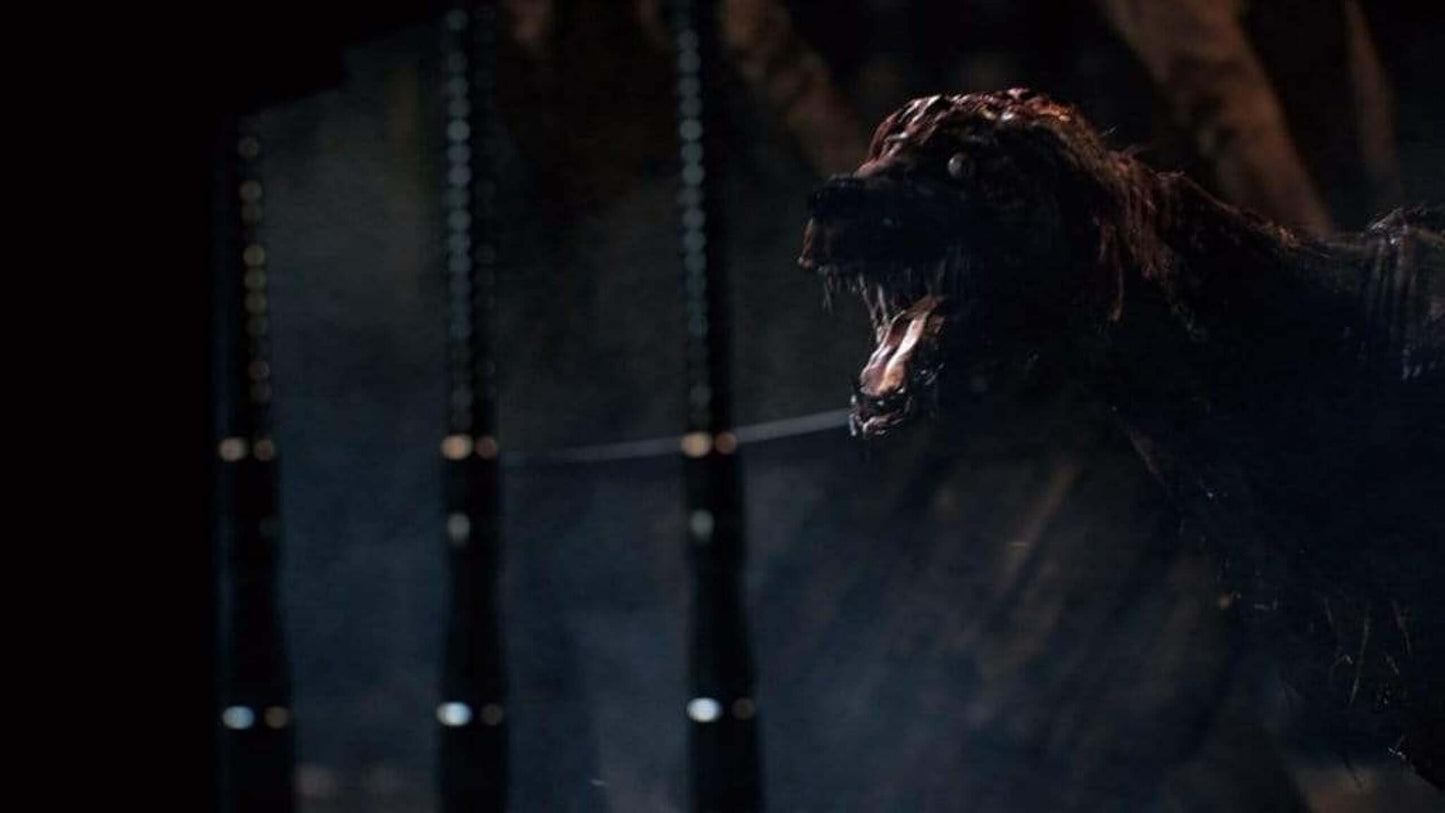 Bloodborne Game of the Year Edition PS4 - GameRaid