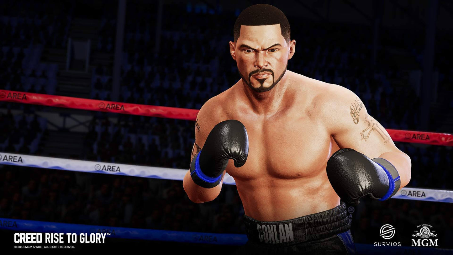 Creed Rise to Glory PSVR PS4 - GameRaid