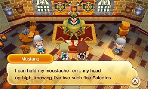 Fantasy Life Nintendo 3DS - GameRaid