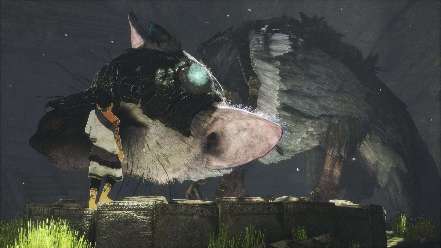 The Last Guardian PS4 - GameRaid