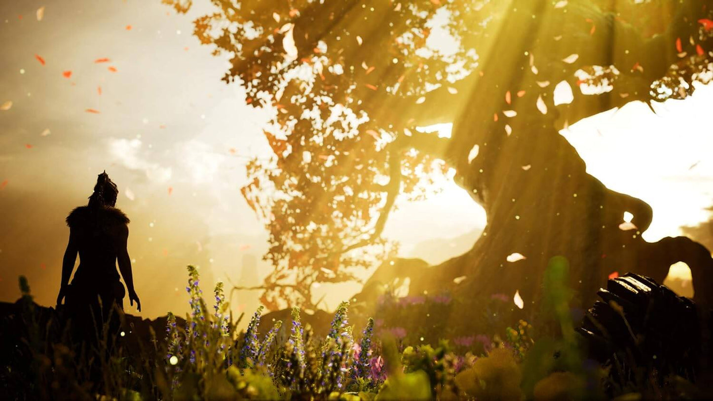 Hellblade Senua's Sacrifice PS4 - GameRaid