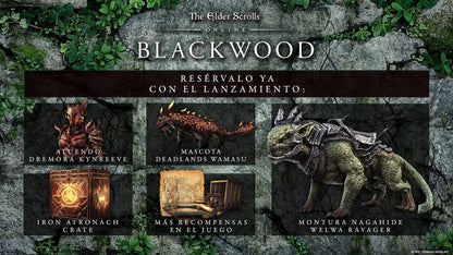 The Elder Scrolls Online: Blackwood Edition for PS4 £24.99